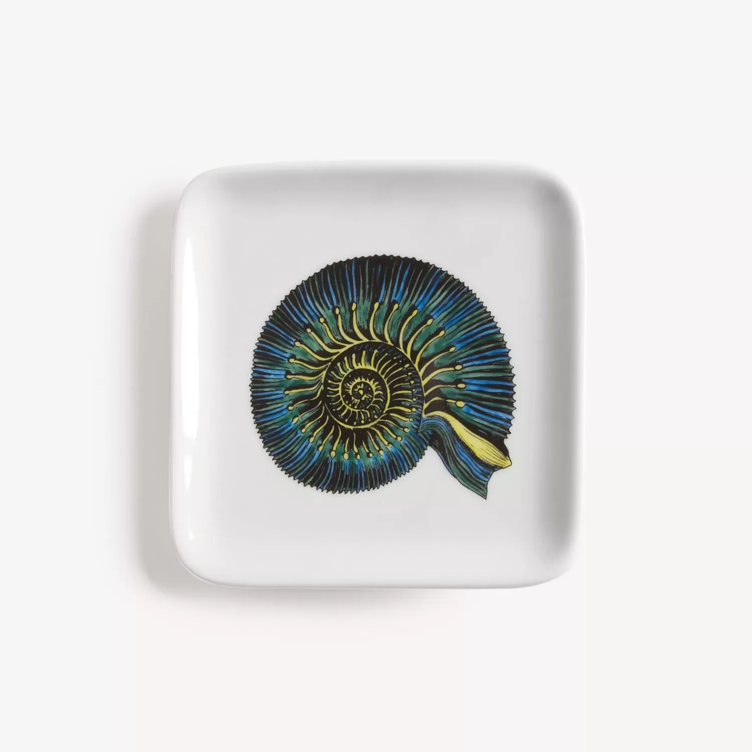 Design Ashtrays<Fornasetti Ashtray Conchiglia Fossile Multicolour